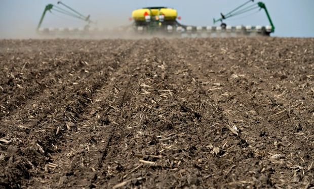 Maíz: los aprendizajes que dejó la campaña, las claves para el planteo técnico de la nueva siembra y el híbrido corto que logró 9.500 kg/ha