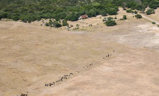 Santa Fe: extienden la emergencia agropecuaria y lanzan créditos para afrontar la sequía