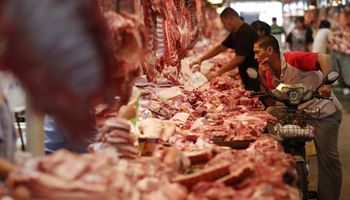 En 2019 la exportación de carne argentina podría batir un récord histórico