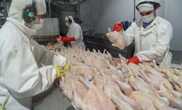 Argentina ya puede exportar carne aviar a Japón y habrá una visita para analizar la posibilidad de la carne bovina