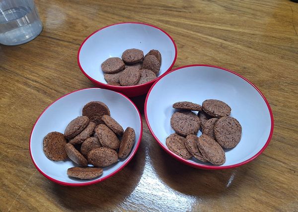 casca-cafe-biscoito-robustas-amazonicos