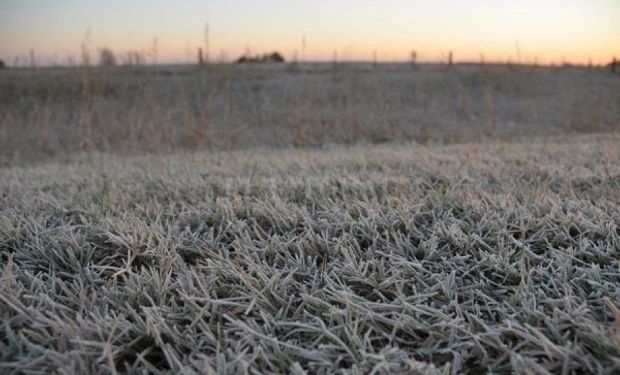 Junio cerrará con un ambiente frío y llegarán las primeras heladas del invierno