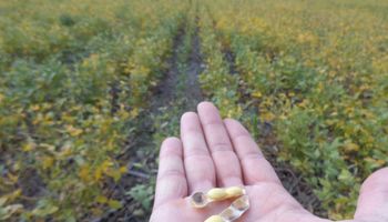Estiman un impacto negativo sobre el campo de US$ 1.800 millones con las nuevas retenciones