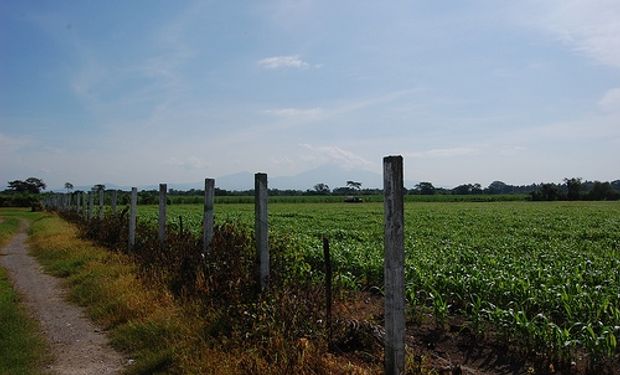 El campo reclama los frutos de su competitividad