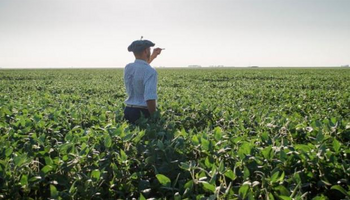 Retenciones: un "fugaz impacto" sobre la recaudación que logra "asfixiar" a la producción