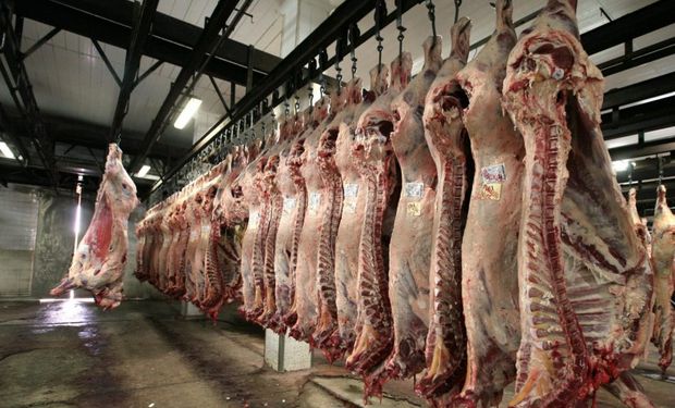 Matarifes alertan una puja entre la exportación y el mercado interno que repercutirá en el precio de la carne