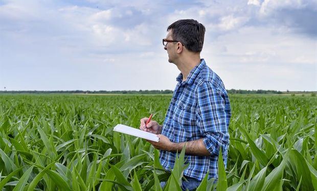 Según el informe, los jóvenes destacan del campo la innovación.