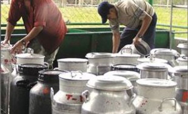Exportación uruguaya de leche creció 44,3 % en relación a 2012