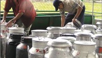 Debemos repensar el negocio de la leche