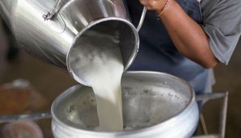 Empresas brasileñas del sector lácteo invertirán US$5,5 millones
