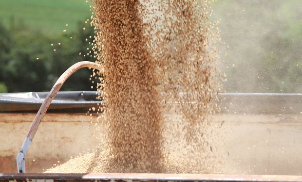 Brasil produziu mais de 150 milhões de toneladas de soja na safra 2022/23