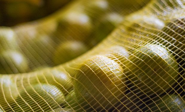 Preço da lima tahiti cai quase 30% em uma semana