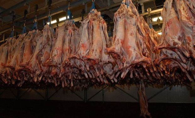 Esperan mejores precios por carne ovina en la UE