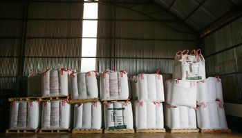 Cambios en el mercado de fertilizantes: reducen tiempos y costos operativos para los importadores y exportadores
