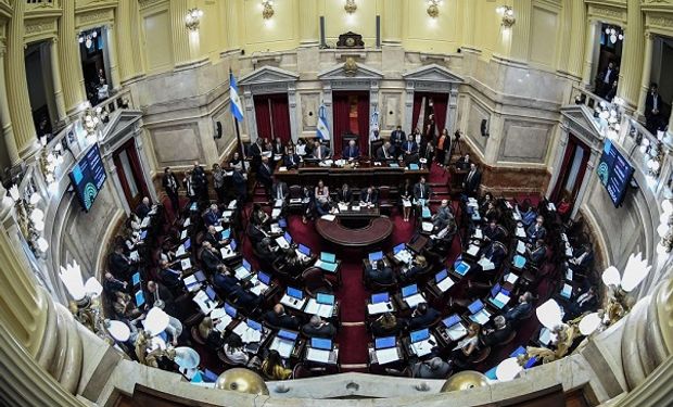 Honorable Cámara de Senadores.