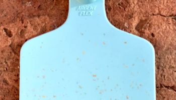 Hechas en Argentina: las caravanas 100% biodegradables llegan a Europa
