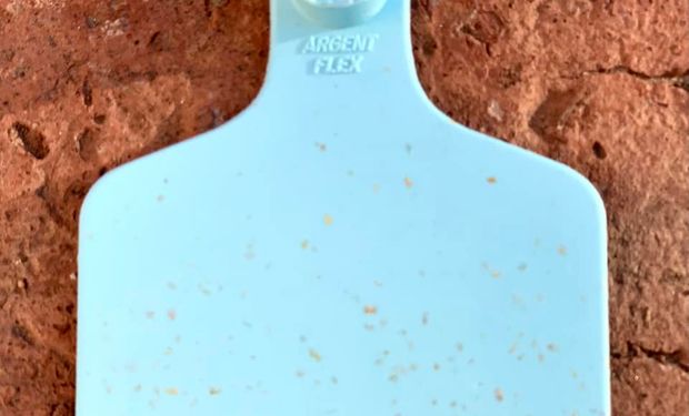 Hechas en Argentina: las caravanas 100% biodegradables llegan a Europa