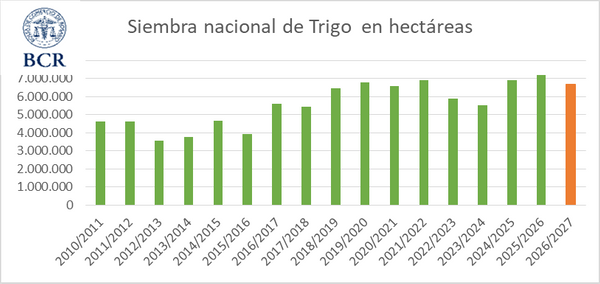 trigo