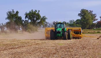 La superficie de siembra sigue en caída: “El trigo va por escalera y la urea por ascensor”