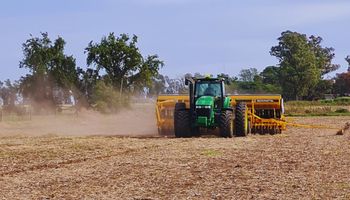 Las lluvias reactivaron la siembra de trigo y se avanzó un 50 %