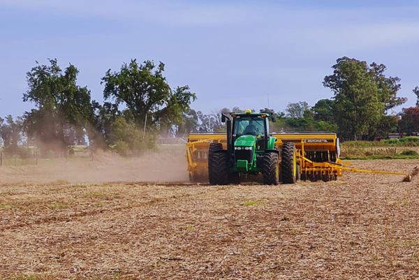 campo