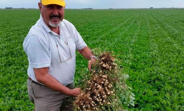 En Argentina: el cultivo que lidera un ranking mundial y aportó más de US$ 1.100 millones al país