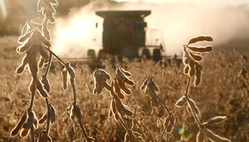 Cumbre agroindustrial en Rosario: las principales definiciones del encuentro