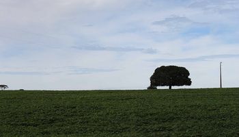 Volvió el faro del Usda