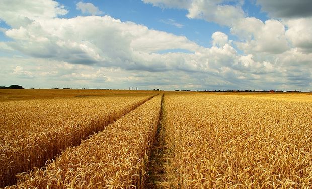 Noticias agrícolas del día