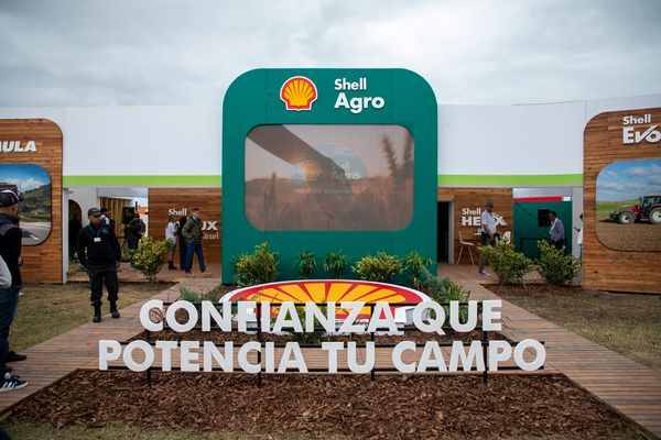 shell agro argentina