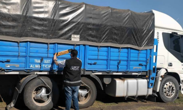 Incautan 1410 toneladas de maíz en un establecimiento ganadero