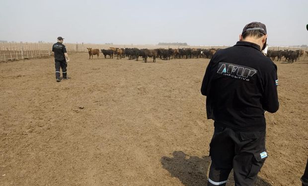 La AFIP secuestró 2358 toneladas de granos por irregularidades en un feedlots