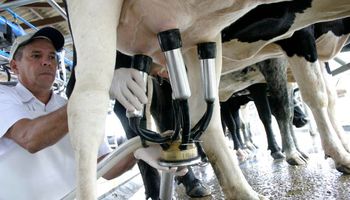 Dia Nacional do Produtor de Leite é aprovado em Comissão da Câmara