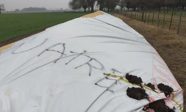El gremio de los trabajadores rurales desmintió las versiones que los involucra en la rotura de silo bolsas