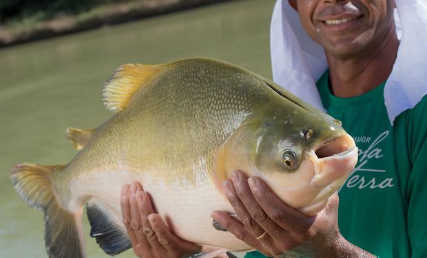 Em 2022, o país importou US$ 1,4 bilhão em pescado, contra US$ 300 milhões exportados