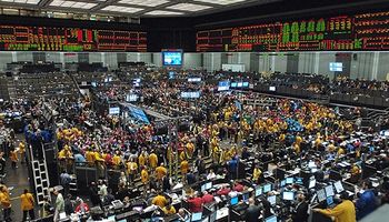 La soja cae hasta u$s 6.6 en EE.UU.