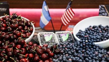 Se actualizó el plan de exportación de frutas y partió el primer embarque de arándanos y cerezas a Estados Unidos