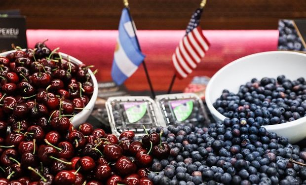 Se actualizó el plan de exportación de frutas y partió el primer embarque de arándanos y cerezas a Estados Unidos