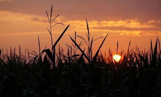 Las lluvias siguen ausentes: día por día, qué dice el pronóstico del tiempo para el agro