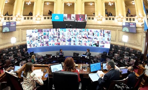 Senadores y diputados en sesión virtual: beneficios para personal de salud y DNU fueron los principales temas