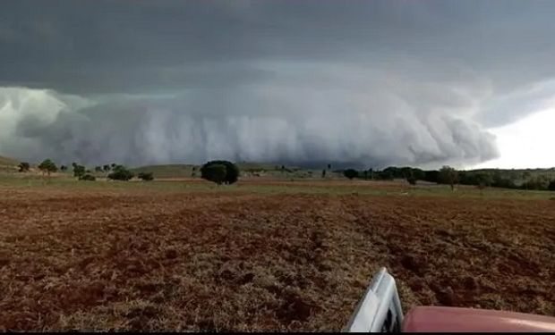 “Las piedras alcanzaron el tamaño de naranjas”: el granizo arrasó con la producción en el sureste de Brasil