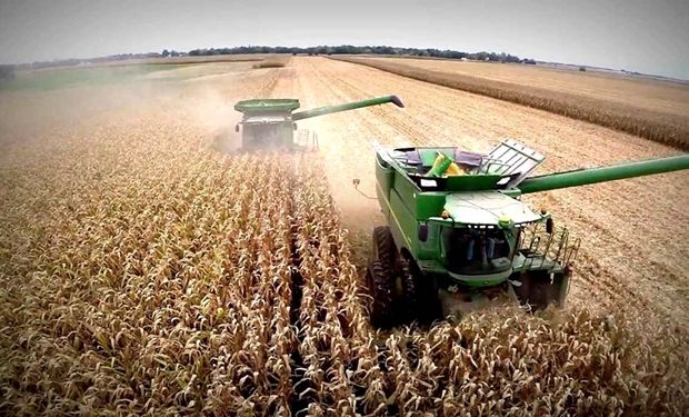 Exportaciones: cómo le fue a cada sector agroindustrial en los primeros ocho meses del año