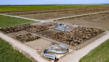 Los detalles del nuevo régimen que abre oportunidades para inversiones agroindustriales desde US$ 150.000