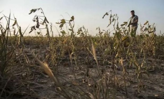 ¿Semana sin lluvias? El pronóstico del tiempo luego del alivio que busca destrabar la siembra