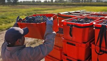 Economías regionales alertaron que se dificulta el pago de salarios por la falta de efectivo