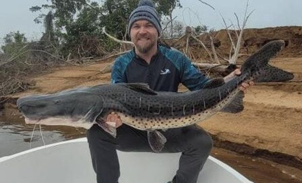 Pescó un surubí de 40 kilos, la especie de mayor longitud del río Paraná