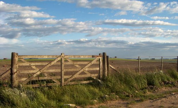 Los alquileres rurales suben dos quintales: cómo impacta y qué precio tiene cada zona