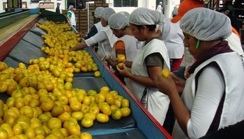 El sector frutícola muestra preocupación y exige medidas para paliar la situación
