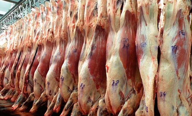 Argentina vuelve a exportar carne a Túnez.