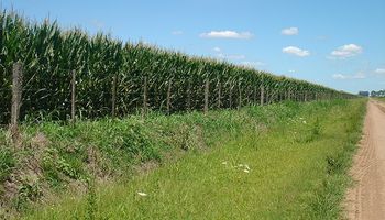 Noticias agrícolas del día